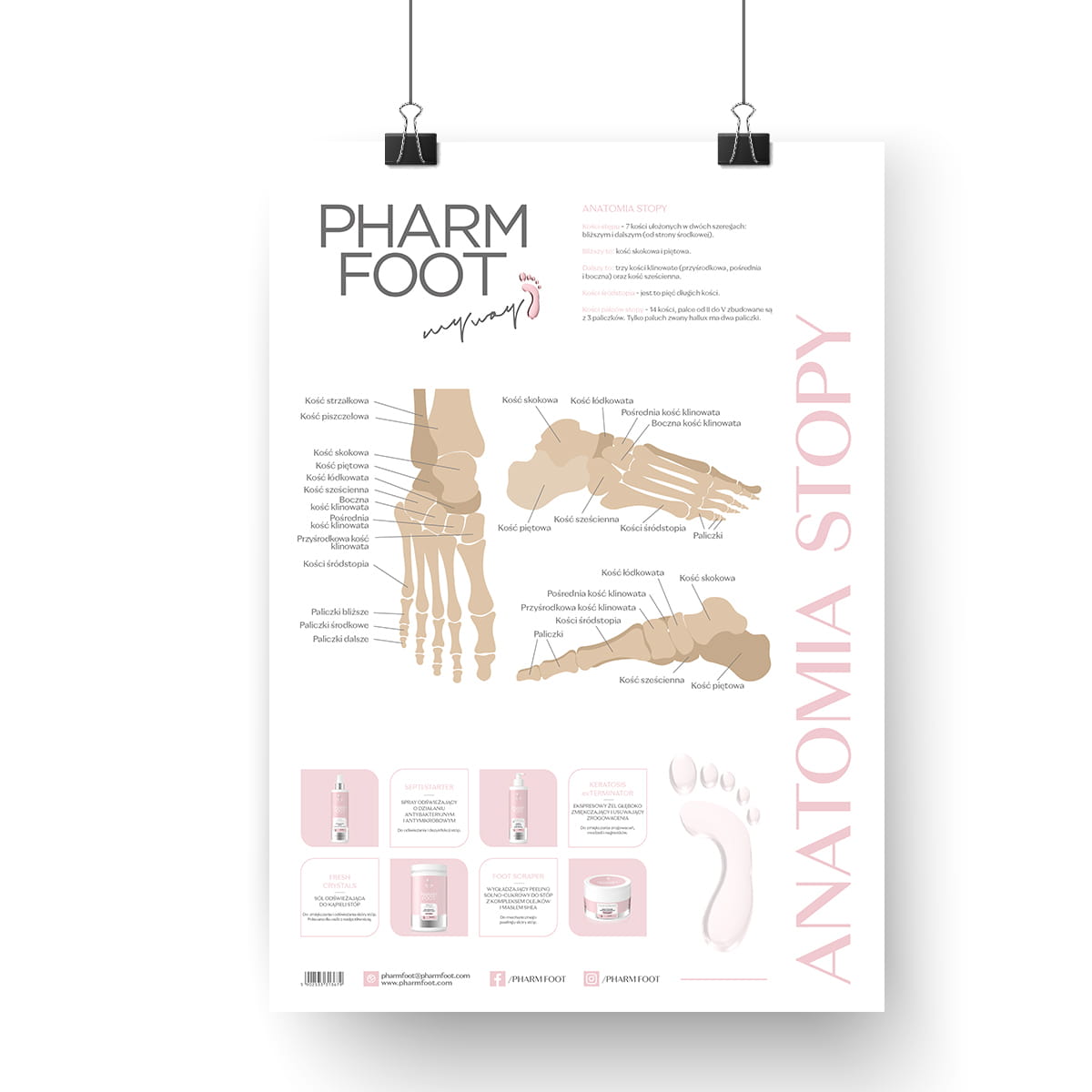 PLAKAT 480 x 680 ANATOMIA STOPY