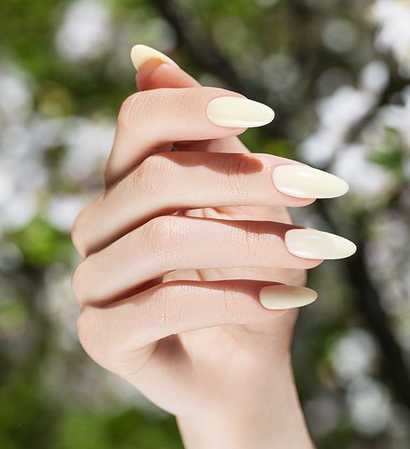 Manicure in pastel yellow shade