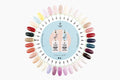 COLOR CHART 04 Pure Creamy Hybrid 164-203